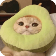 抖抈直播